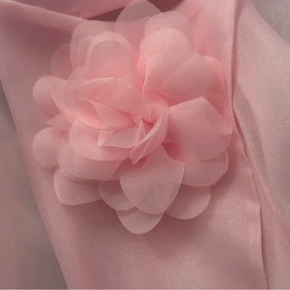 NWOT NEW C.
Wonder Christian Siriano Pink to Mint Ombre Organza Trench Coat - Picture 3 of 11